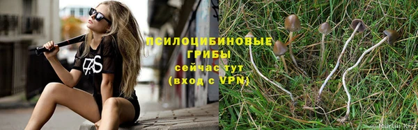 спайс Магадан