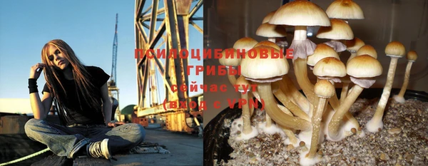 тгк Майский