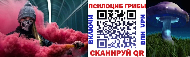 Галлюциногенные грибы Psilocybe  Купить где  Сызрань 